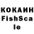 Псилоцибиновые грибы Psilocybine cubensis Nickolai Kyrylovych