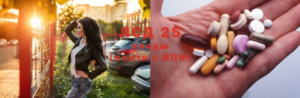 PSILOCYBIN Бронницы