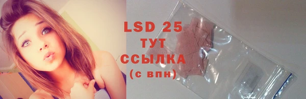 PSILOCYBIN Бронницы