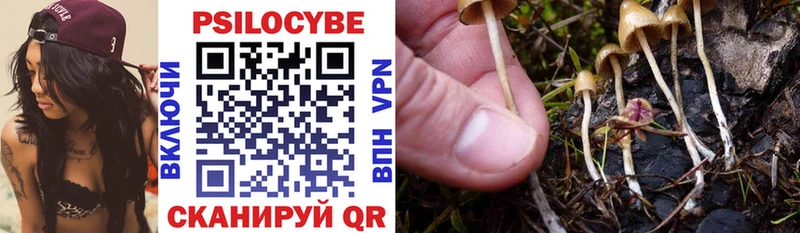 магазин  наркотиков  Мирный  Галлюциногенные грибы Cubensis 